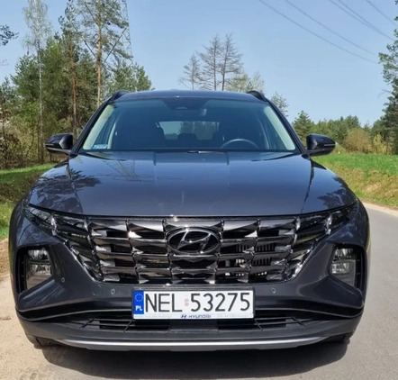 Hyundai Tucson cena 120000 przebieg: 15041, rok produkcji 2021 z Krynki małe 79
